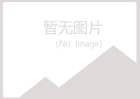 中牟县夏岚工程有限公司